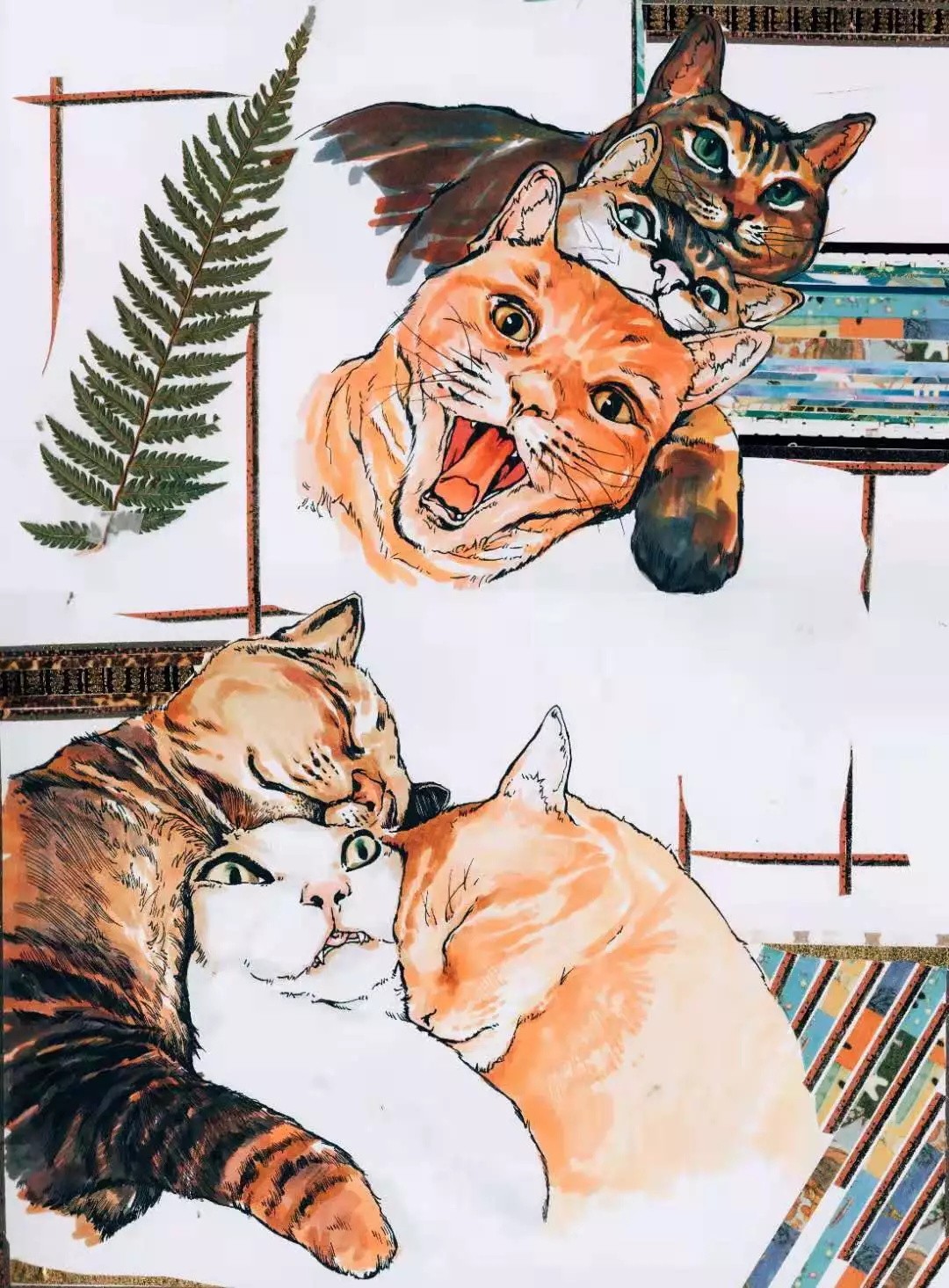 11_看图王.jpg
